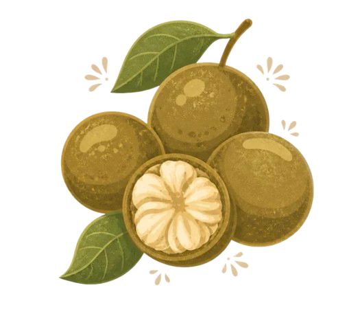 Monk fruit